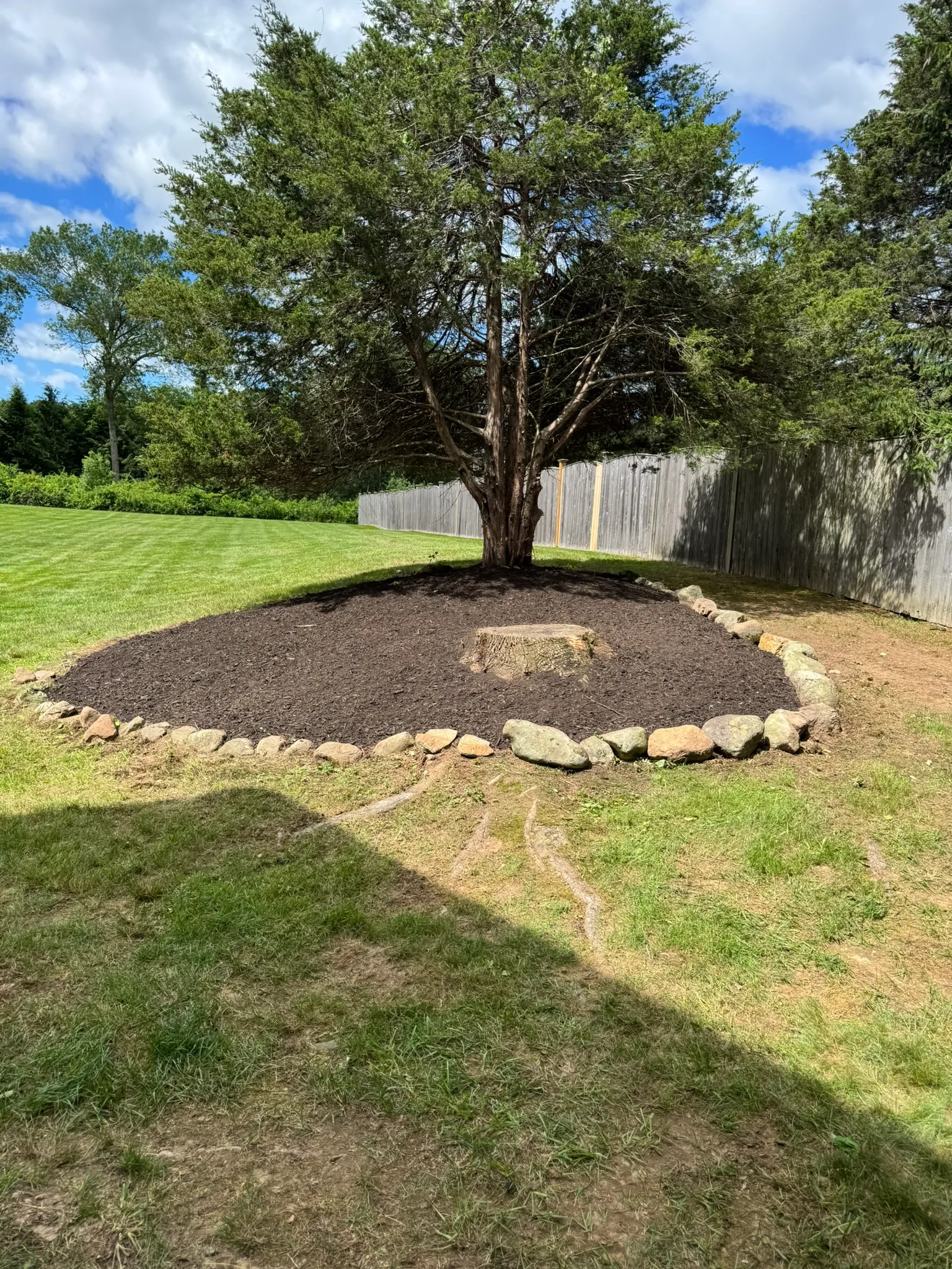 A circular mulch bed cut cleanly around a mature shade tree in a back yard